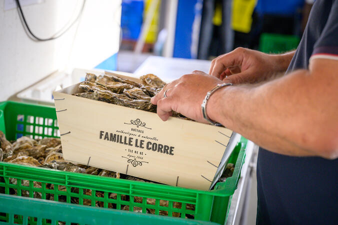 Des huîtres de l'île de Ré pour Noël